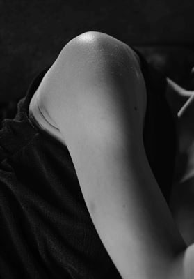 modelbook image no. 258933