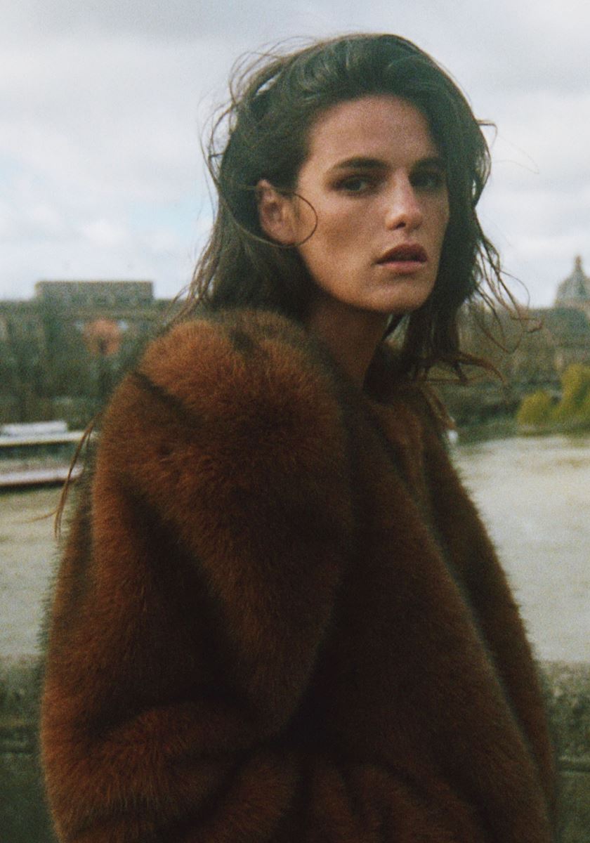 modelbook image no. 263136