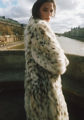 modelbook image no. 263139