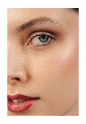 modelbook image no. 248324