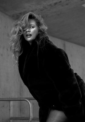 modelbook image no. 264765