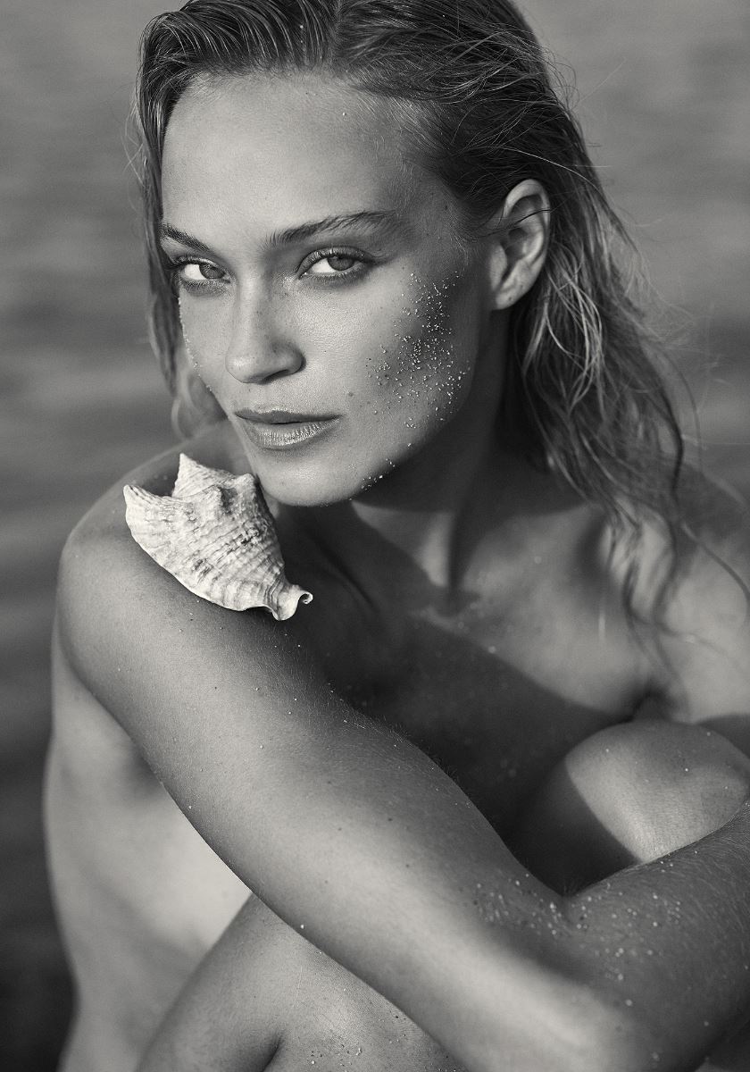 modelbook image no. 255101