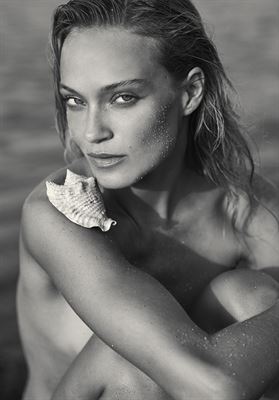 modelbook image no. 255101