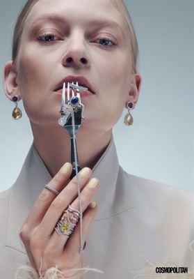 modelbook image no. 248516