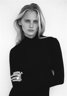 modelbook image no. 263794