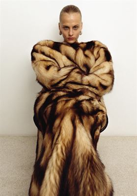 modelbook image no. 263775