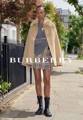 modelbook image no. 271388