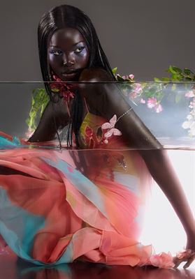 modelbook image no. 248522