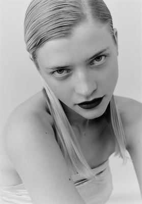 modelbook image no. 248062