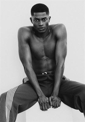 modelbook image no. 261002