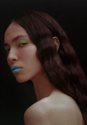 modelbook image no. 248052