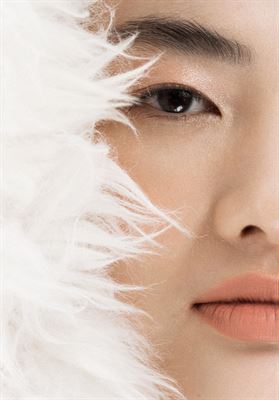 modelbook image no. 244170