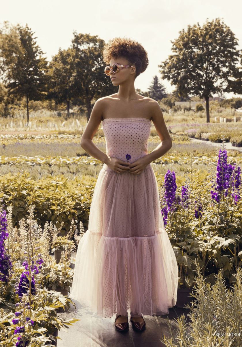 modelbook image no. 249923