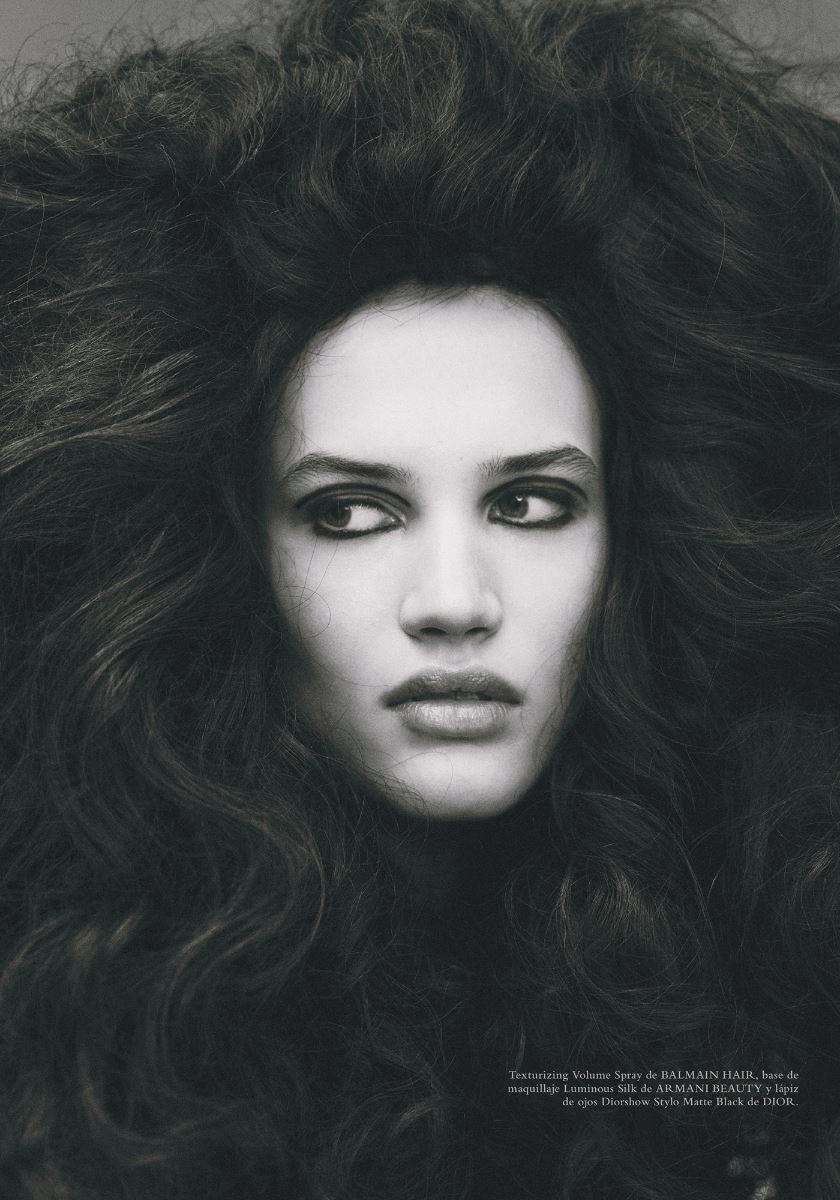modelbook image no. 260871