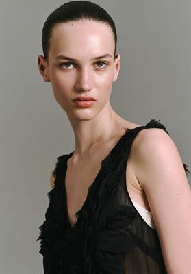 modelbook image no. 251528