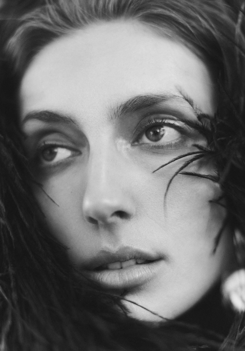 modelbook image no. 263601