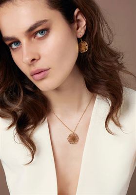 modelbook image no. 255707