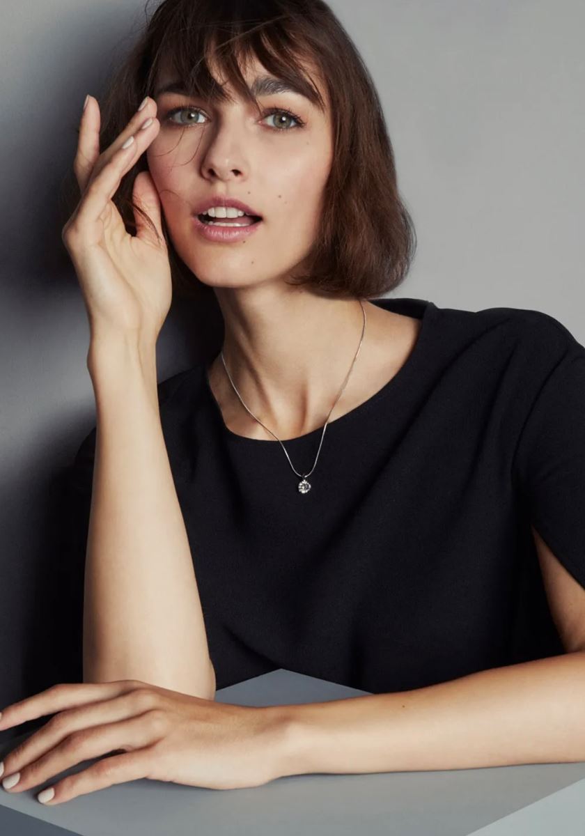 modelbook image no. 253082