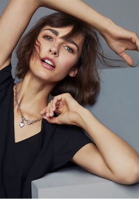 modelbook image no. 253083