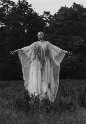 modelbook image no. 255901