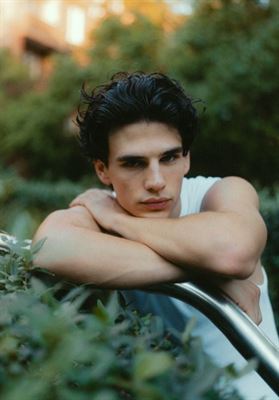 modelbook image no. 272368