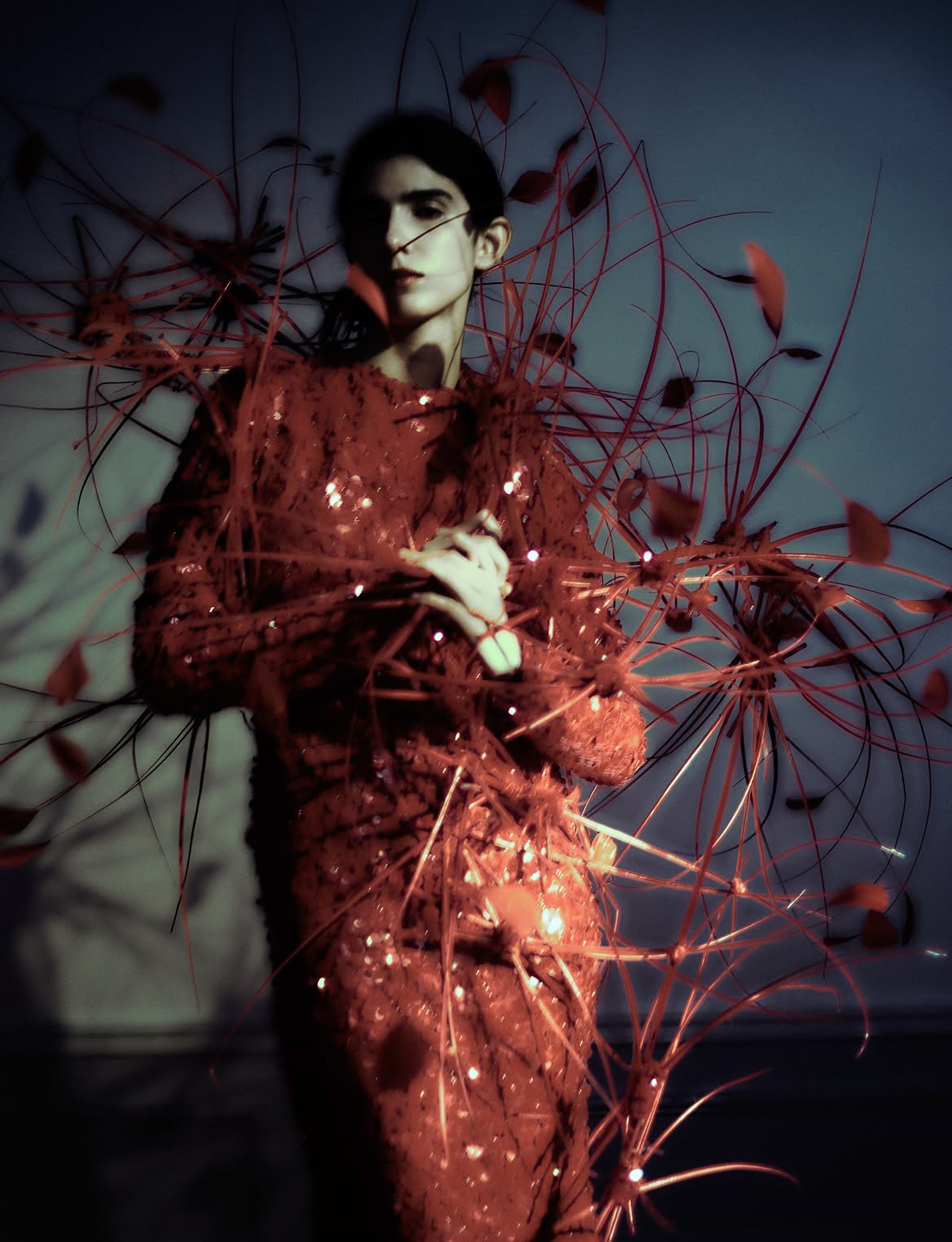 REBECA SOLANA photo
