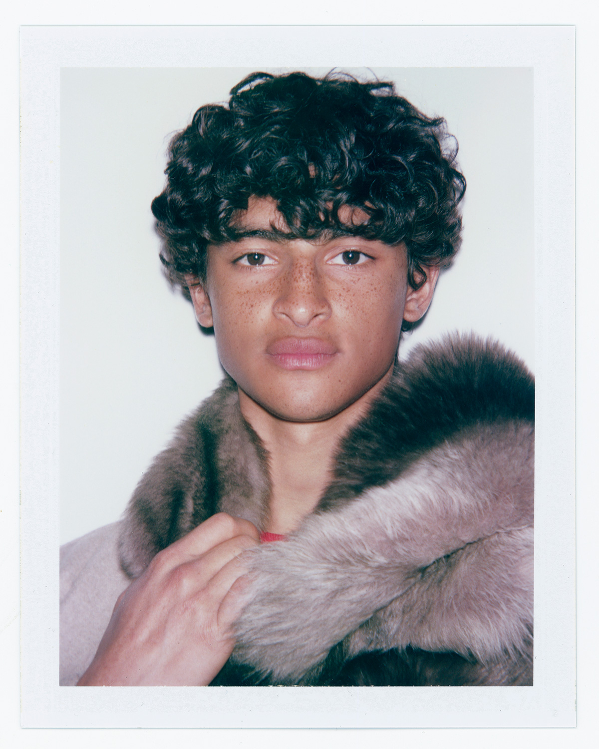 NOEL HERNANDEZ photo