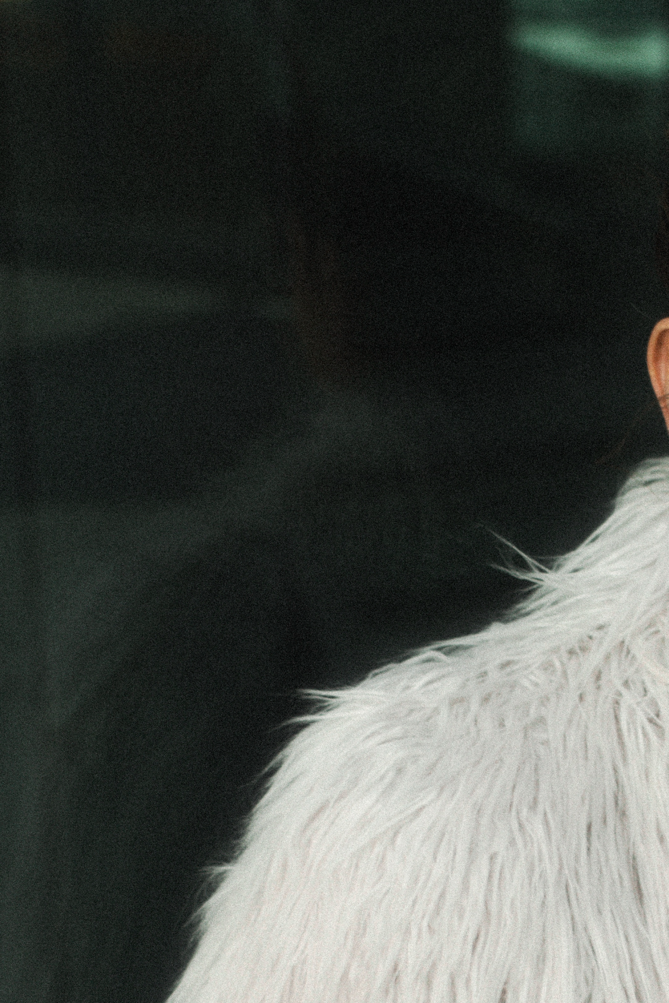 AURORA MARIANI photo