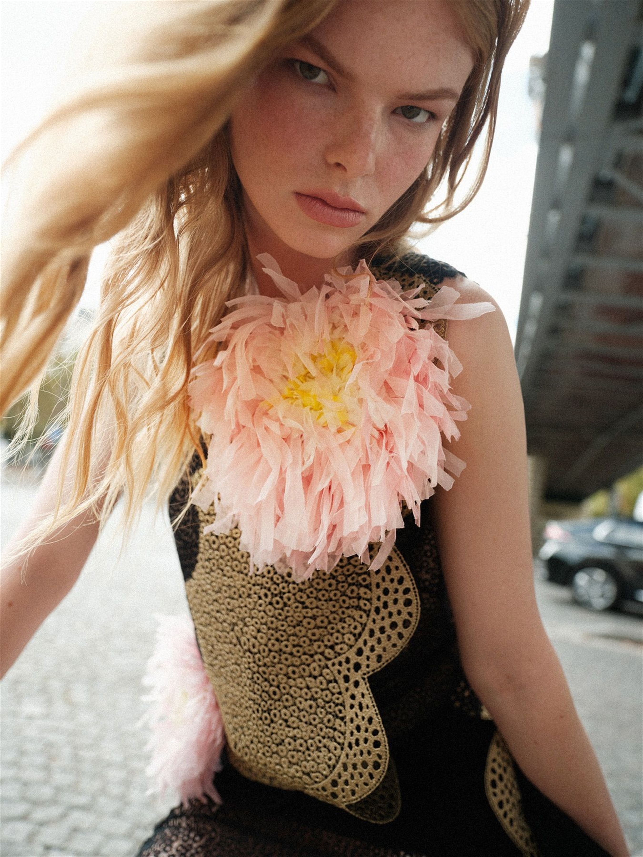 ELISE SWAIN photo