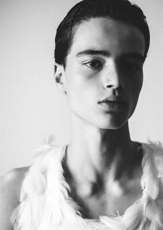 BO V photo
