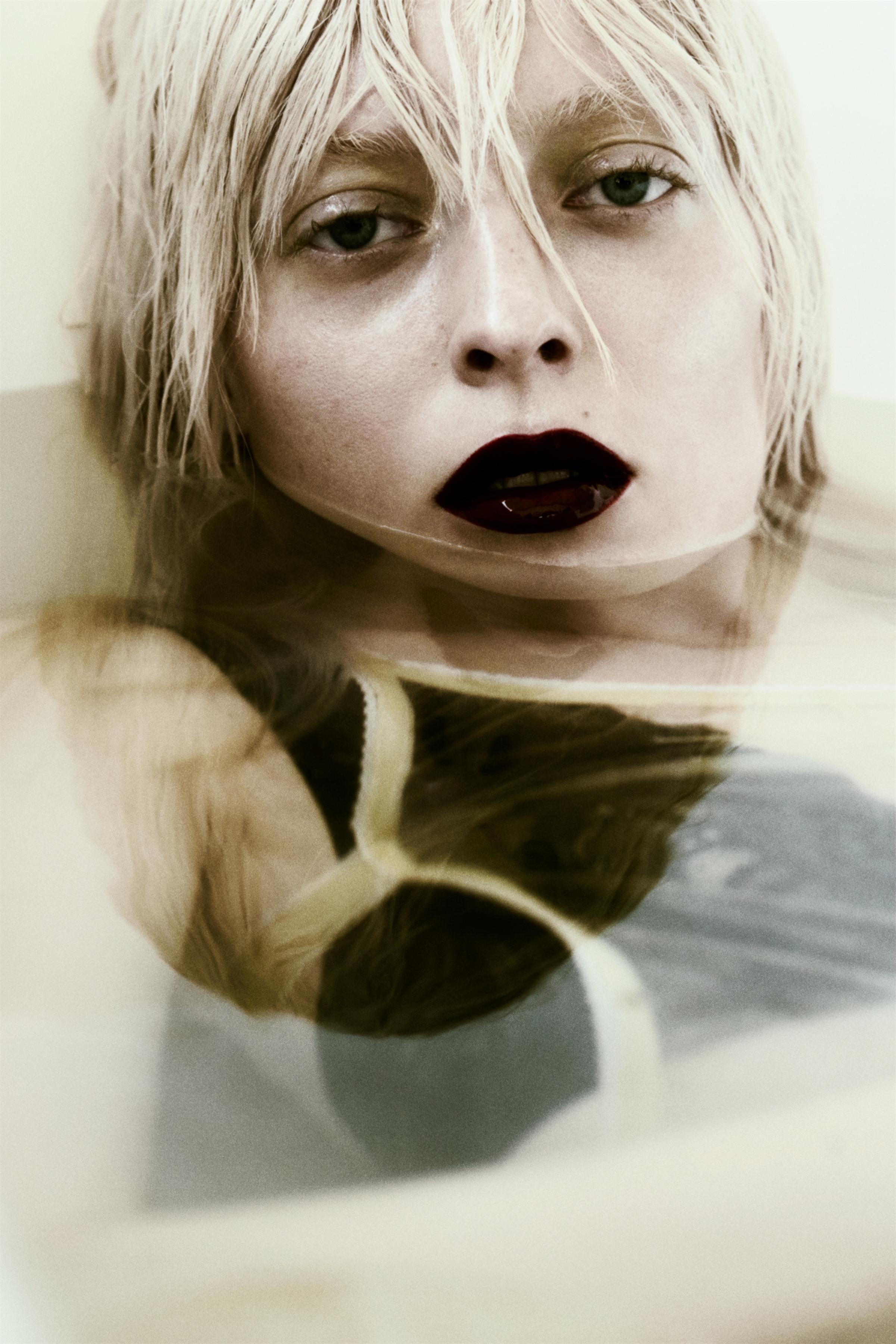 POLLY photo